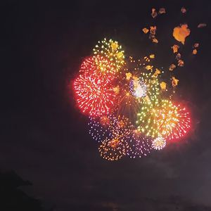 国产成人黄网在线
