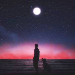 国产成人黄网在线
