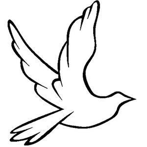 国产成人黄网在线
